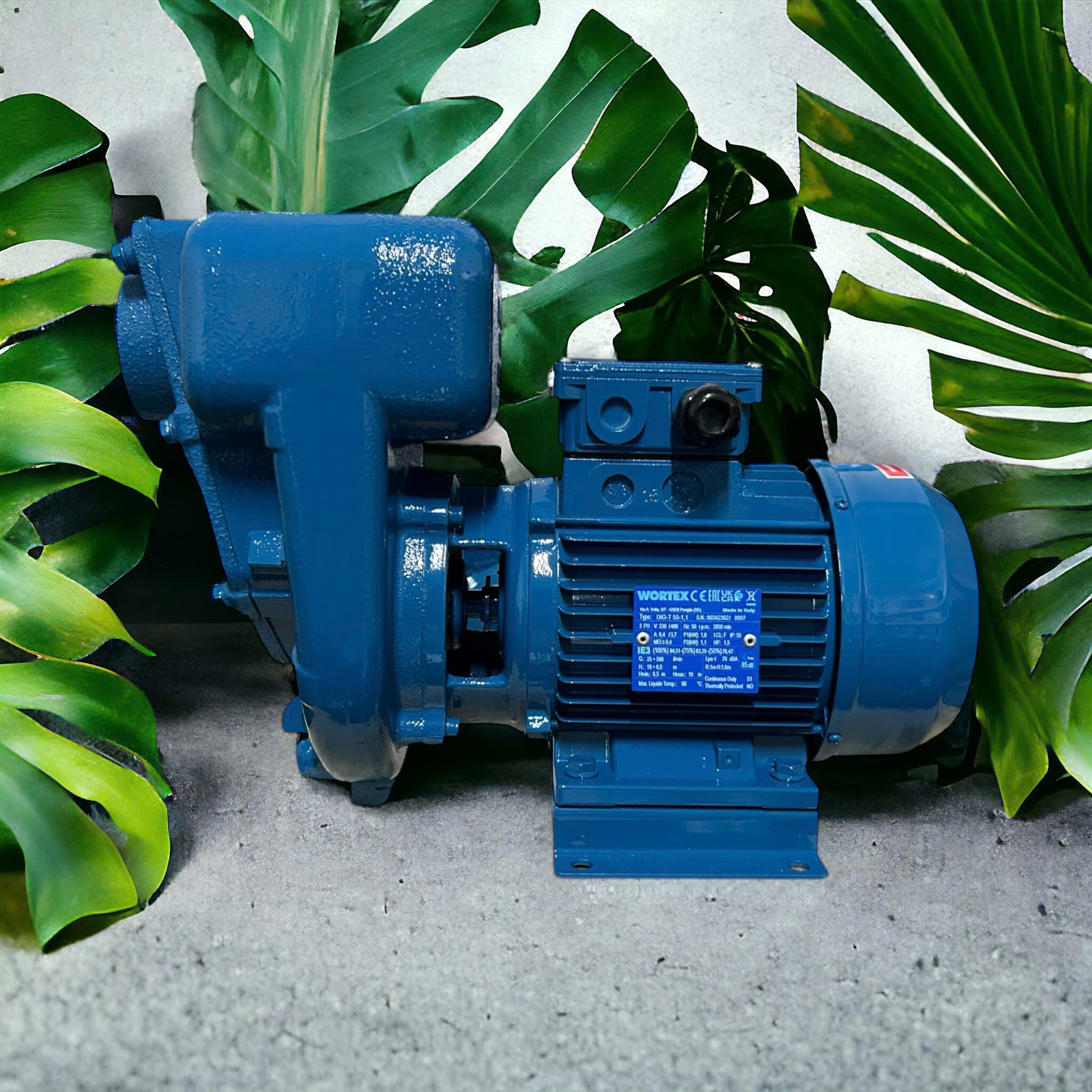 Bơm Tự Mồi Wortex DIG-T 80-2.2